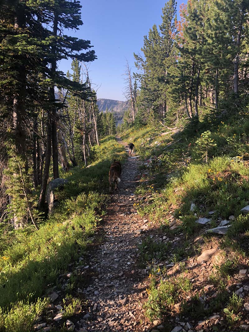 Expeditions Pinnacle Pursuit Main Image Expeditions Pinnacle Pursuit Main Image